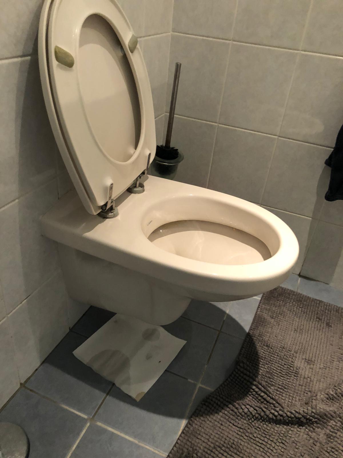 hangtoilet Bergambacht
